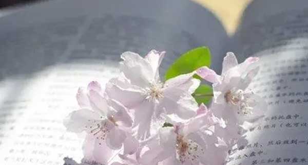 广东课题研究的申报流程是怎样的？评职时怎